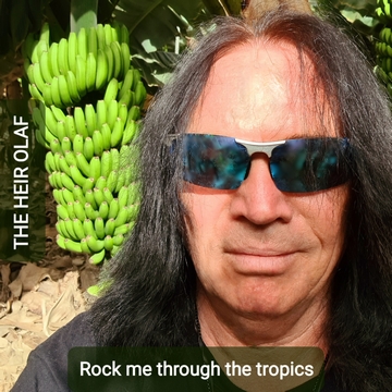 Rock me through the tropics